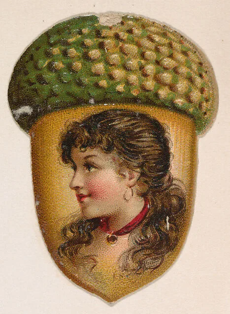 Acorn, from the Novelties series (N228, Type 4) issued by Kinney Bros. — Kinney Brothers Tobacco Company