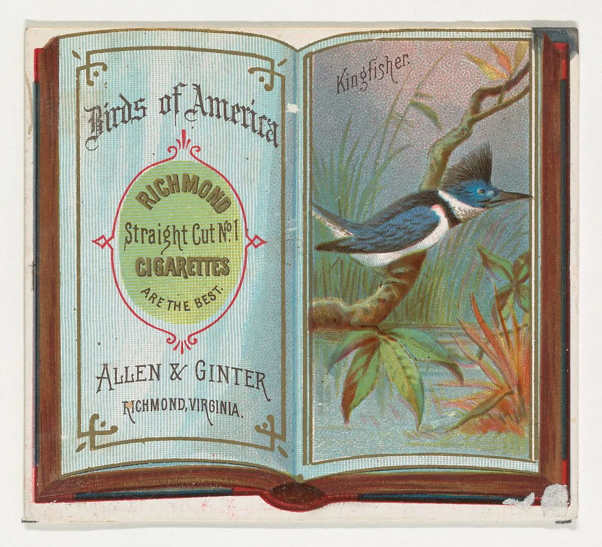 Kingfisher, from the Birds of America series (N37) for Allen & Ginter Cigarettes — Allen & Ginter