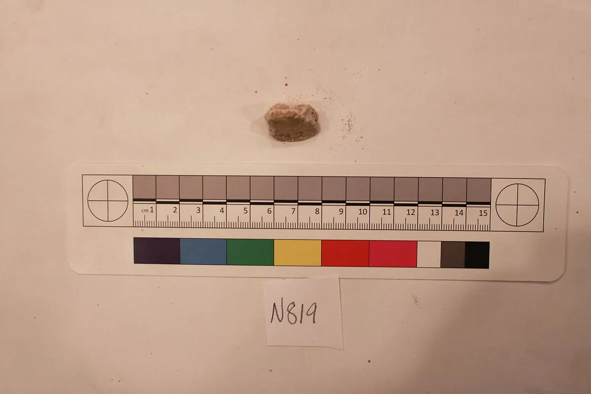 Stucco Fragment — Unknown