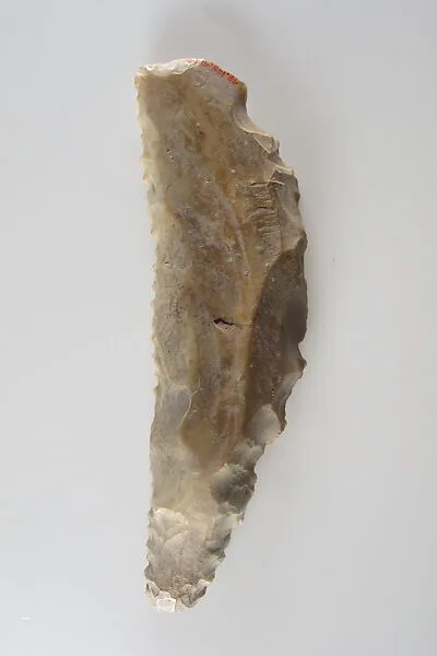 Sickle Insert — Unknown