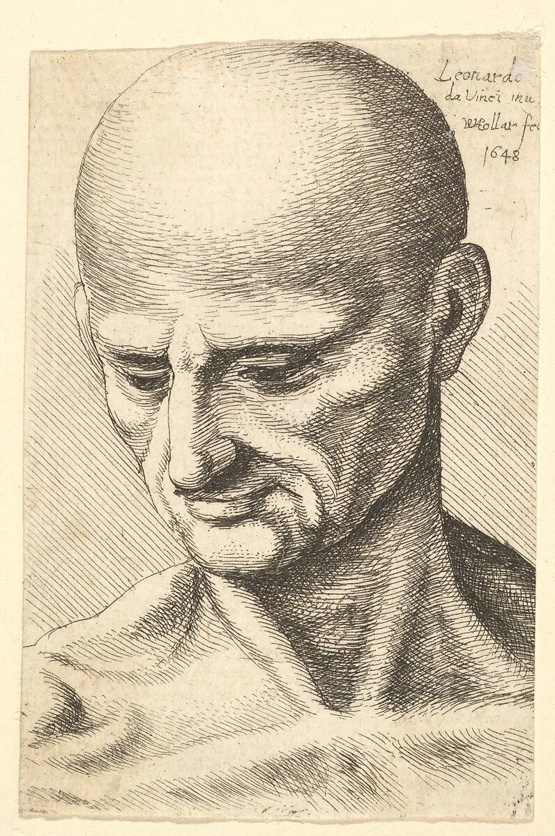 Head of a bald, sinewy man looking downwards — Leonardo da Vinci|Wenceslaus Hollar