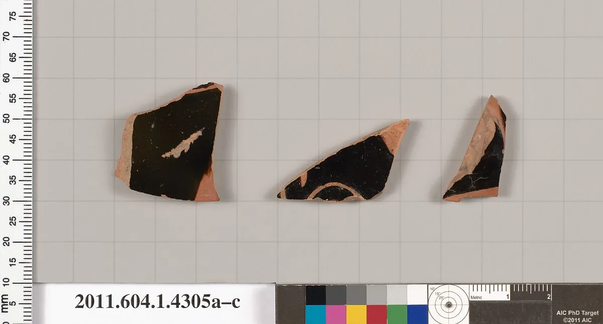 Terracotta fragments of kylikes (drinking cups) — Unknown