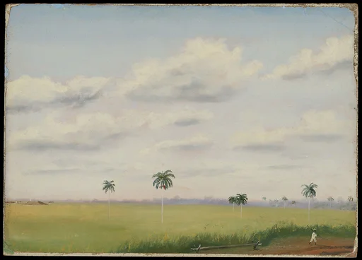 Ingo, San Martin, Cuba