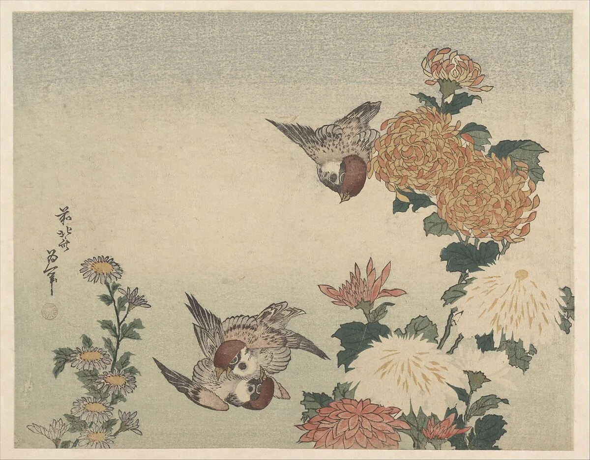 葛飾北斎画 菊に雀|Sparrows and Chrysanthemums — Katsushika Hokusai