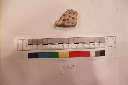 Stucco Fragment