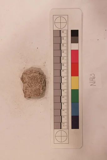 Stucco Fragment