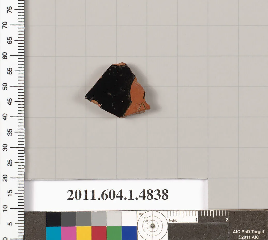 Terracotta fragment of a kylix (drinking cup) — Unknown