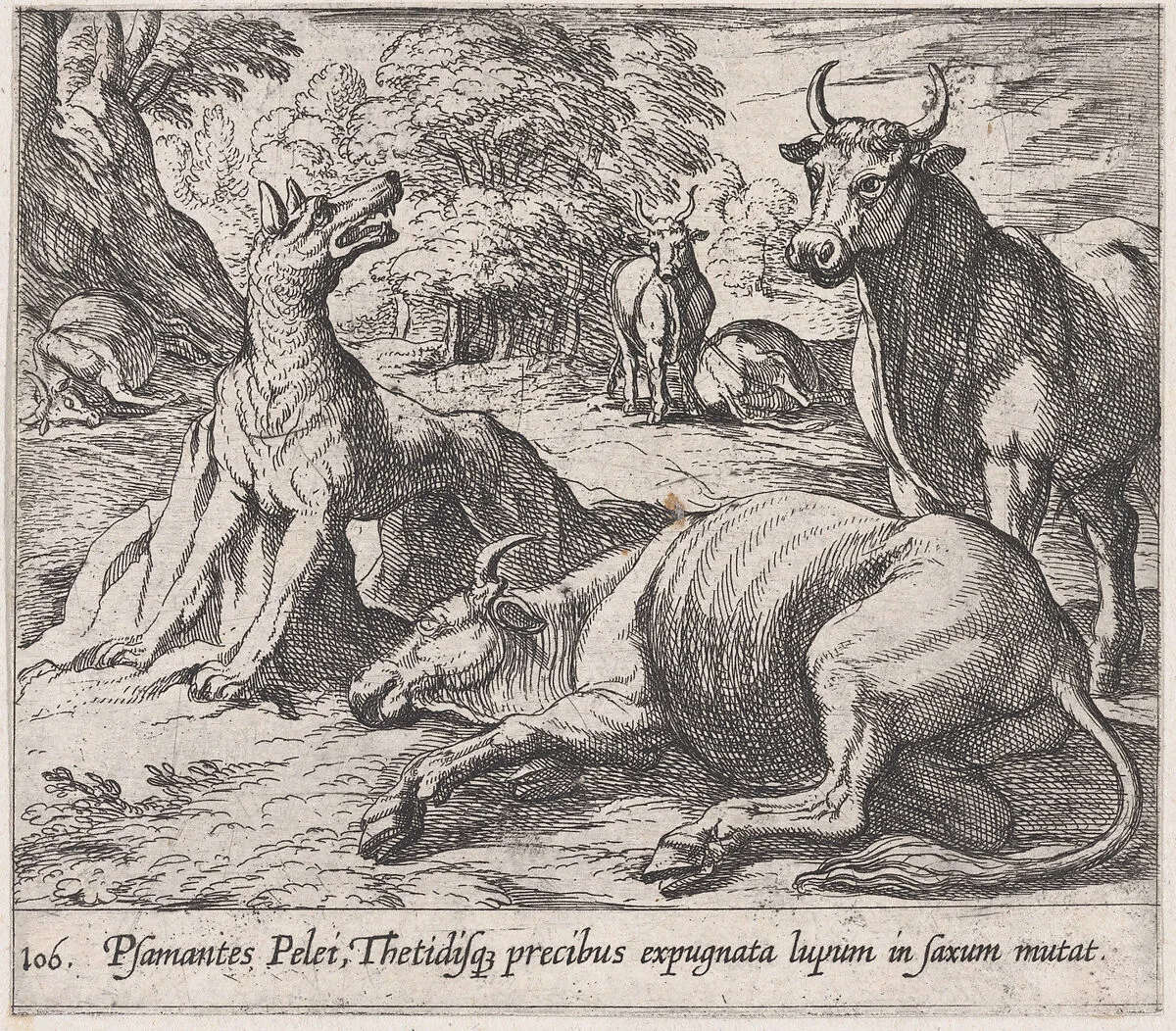 Plate 106: Peleus's Cattle, ad the Sea Wolf Turned to Marble (Psamantes Pelei, Thetidisq precibus expugnata lupum in saxum mutat), from Ovid's 'Metamorphoses' — Antonio Tempesta