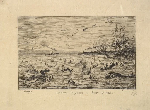 The Fish Rejoice in the Departure of the Cabin Boy