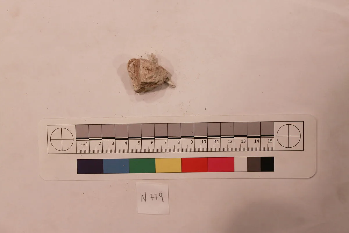 Stucco Fragment — Unknown