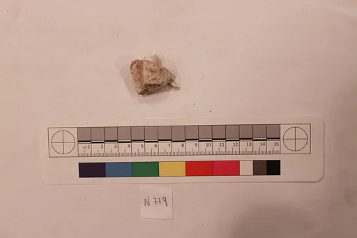 Stucco Fragment