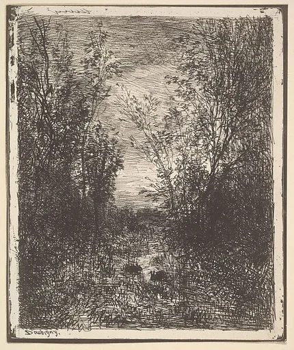 Stream in a Clearing