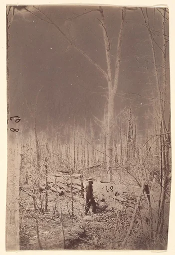 [The Wilderness Battlefield]