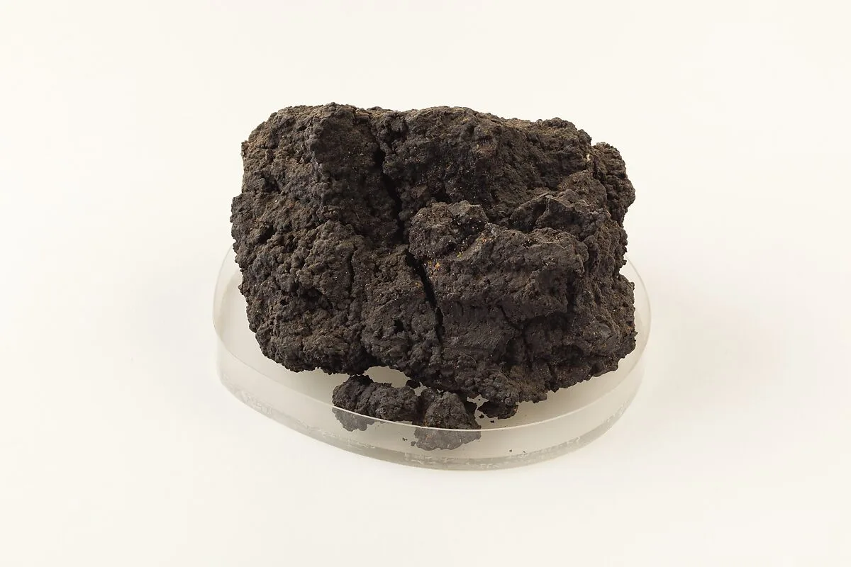 Fruit Cake — Unknown