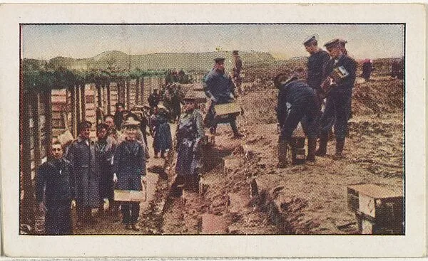 Card No. 117, British Naval Brigade Carrying Ammunition into the Trenches near Antwerp, from the World War I Scenes series (T121) issued by Sweet Caporal Cigarettes — Underwood & Underwood|American Tobacco Company