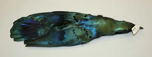 Ornament