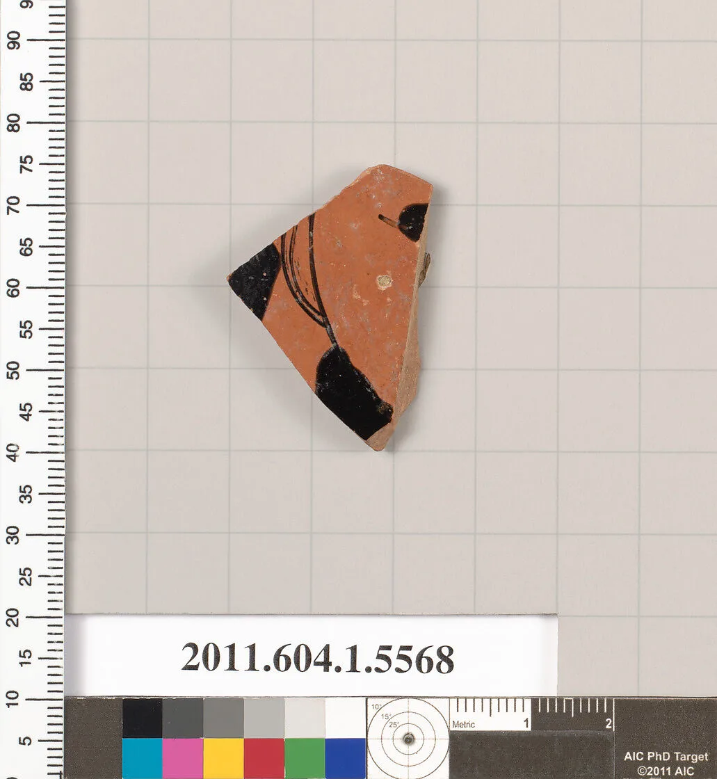 Terracotta fragment of a kylix (drinking cup) — Unknown