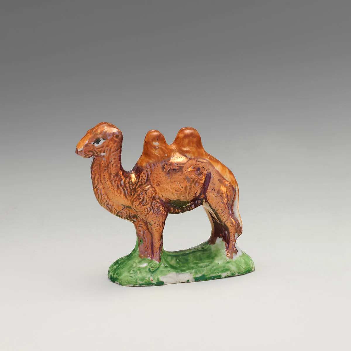 Camel — Mary Atwood