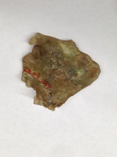 Fragment