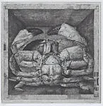 North Sea Crab in a Wooden Box — Charles Donker