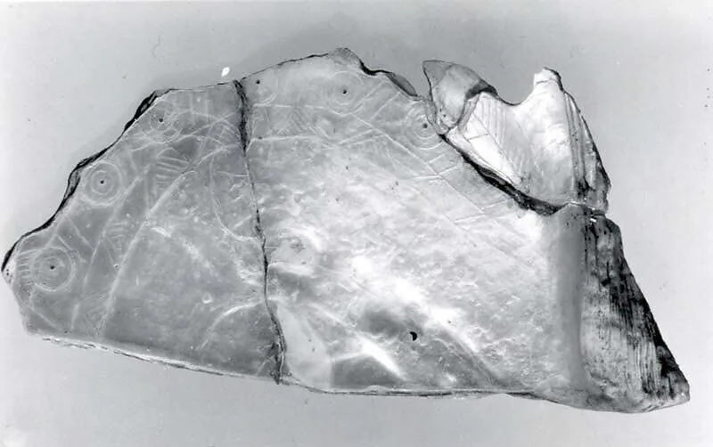 Shell — Unknown