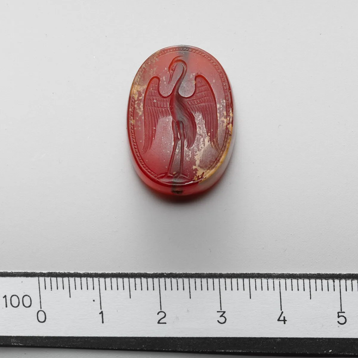 Carnelian scaraboid — Unknown