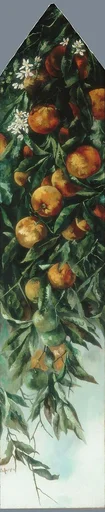 Orange Branch