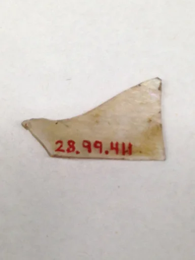 Fragment