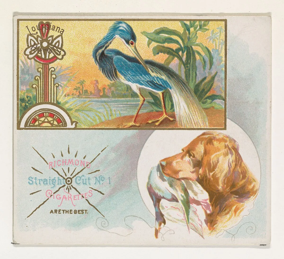 Louisiana Heron, from the Game Birds series (N40) for Allen & Ginter Cigarettes — Allen & Ginter