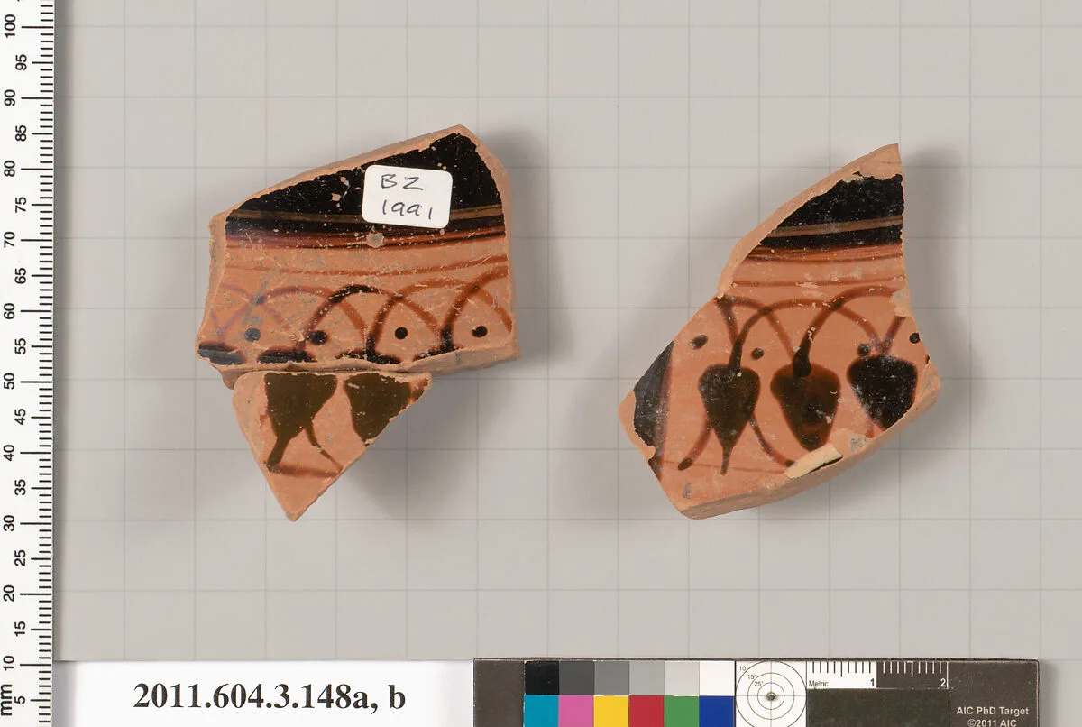 Terracotta fragments of an amphora (jar) — Unknown