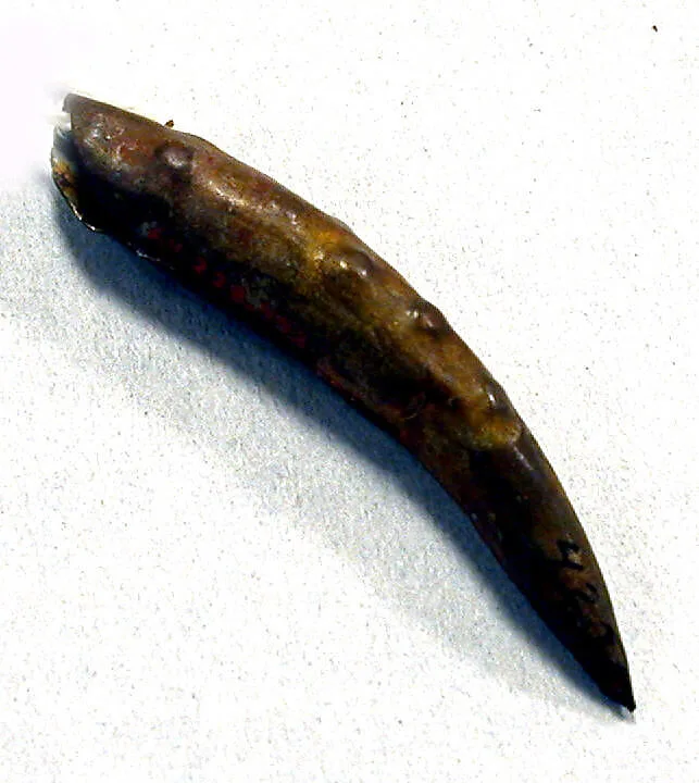 Hammered Copper Claw Ornament — Unknown