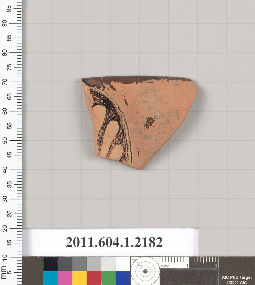 Terracotta rim fragment of a kylix (drinking cup) — Unknown
