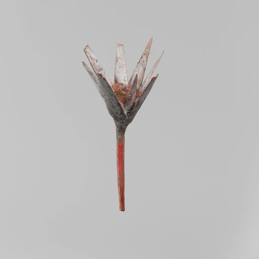 Model Lotus Flower