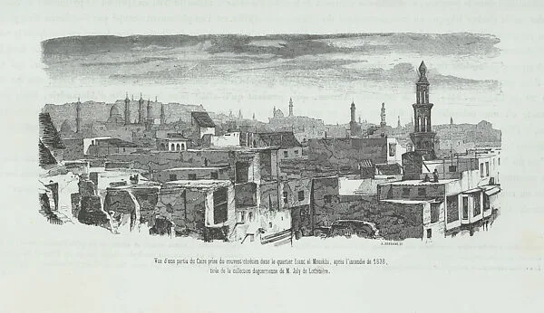 Panorama d'Égypte et de Nubie, avec un portrait de Méhémet-Ali et un texte orné de vignettes — Sigismond Himely|Hector Horeau|Jules Marie Simon Piallat