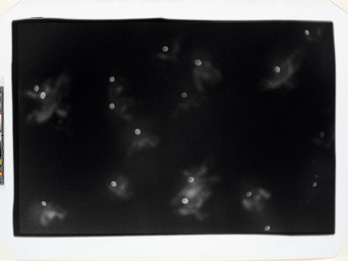 Untitled — Masahisa Fukase