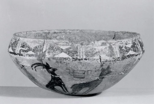 Bowl