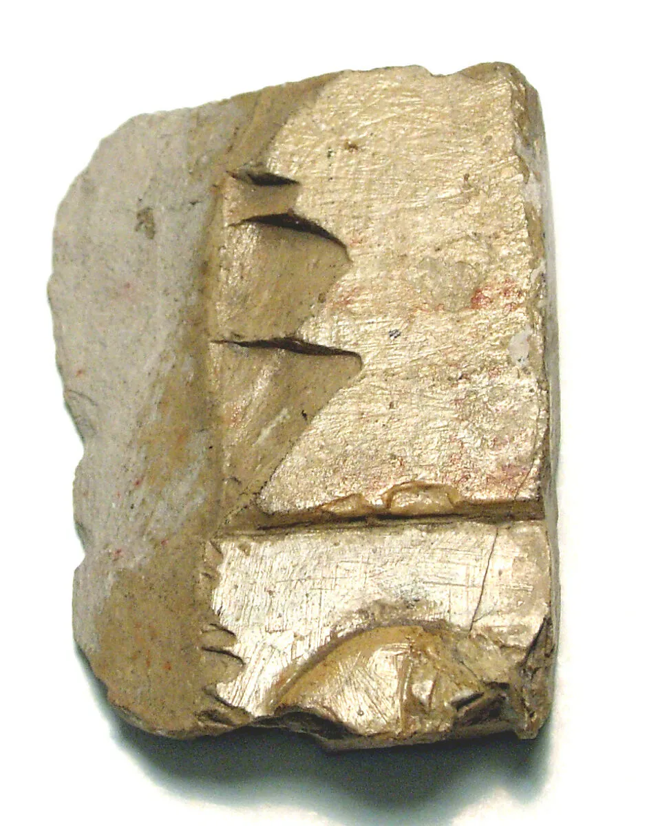 Raised relief fragment — Unknown