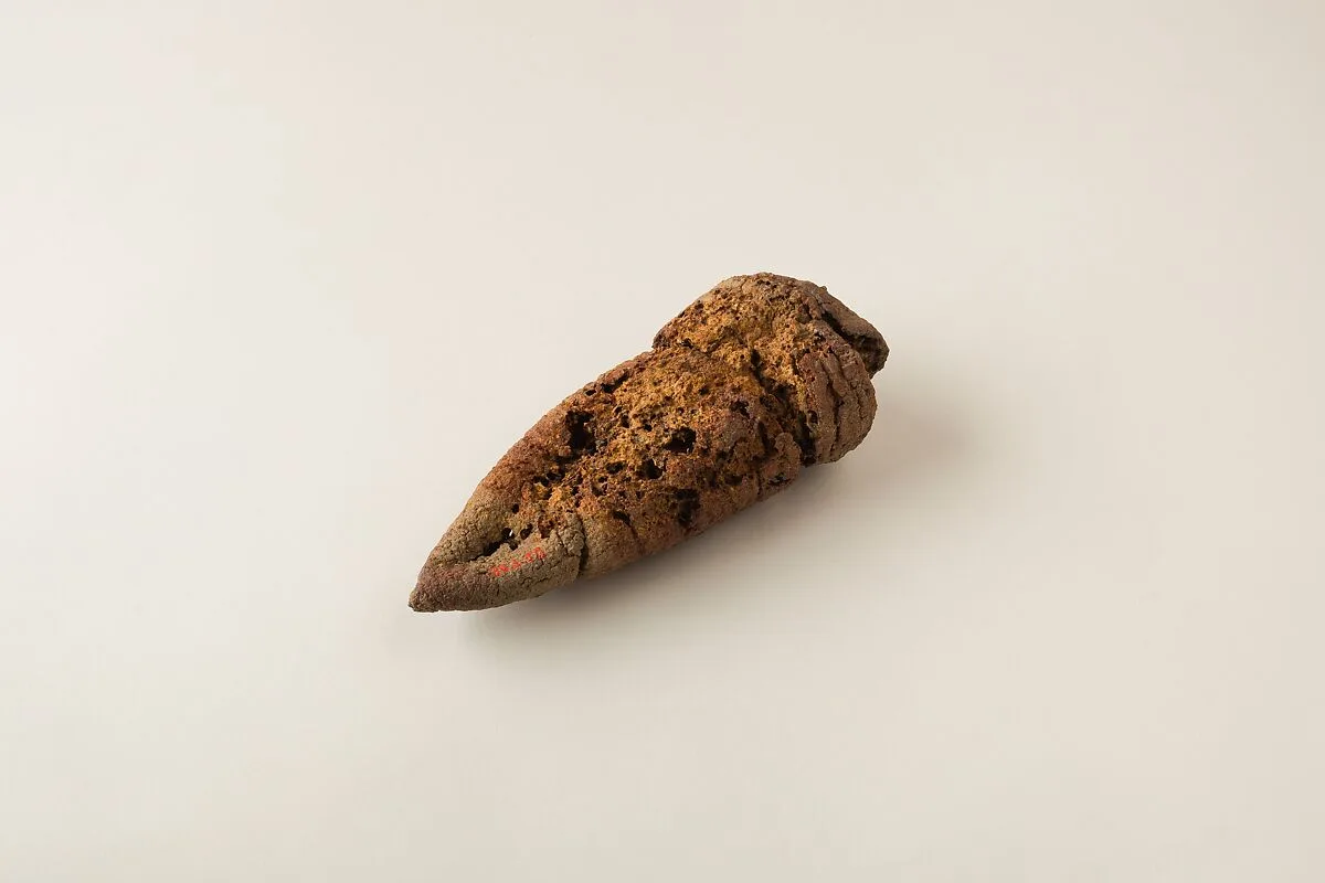 Loaf of Bread — Unknown
