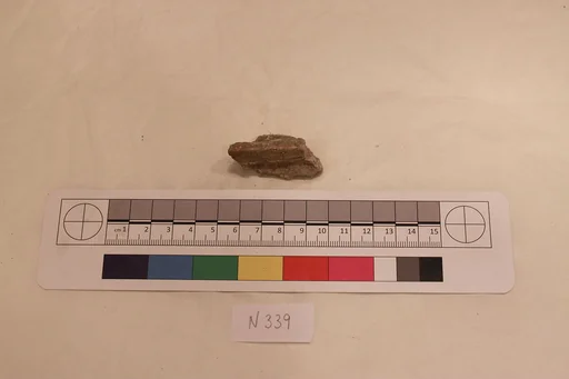 Stucco Fragment