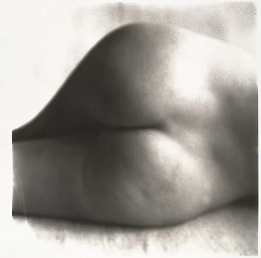 Nude No. 81