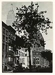 [Empire State Building above Brownstone Buildings]