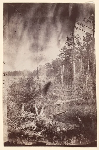[The Wilderness Battlefield]