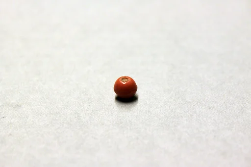 Beads