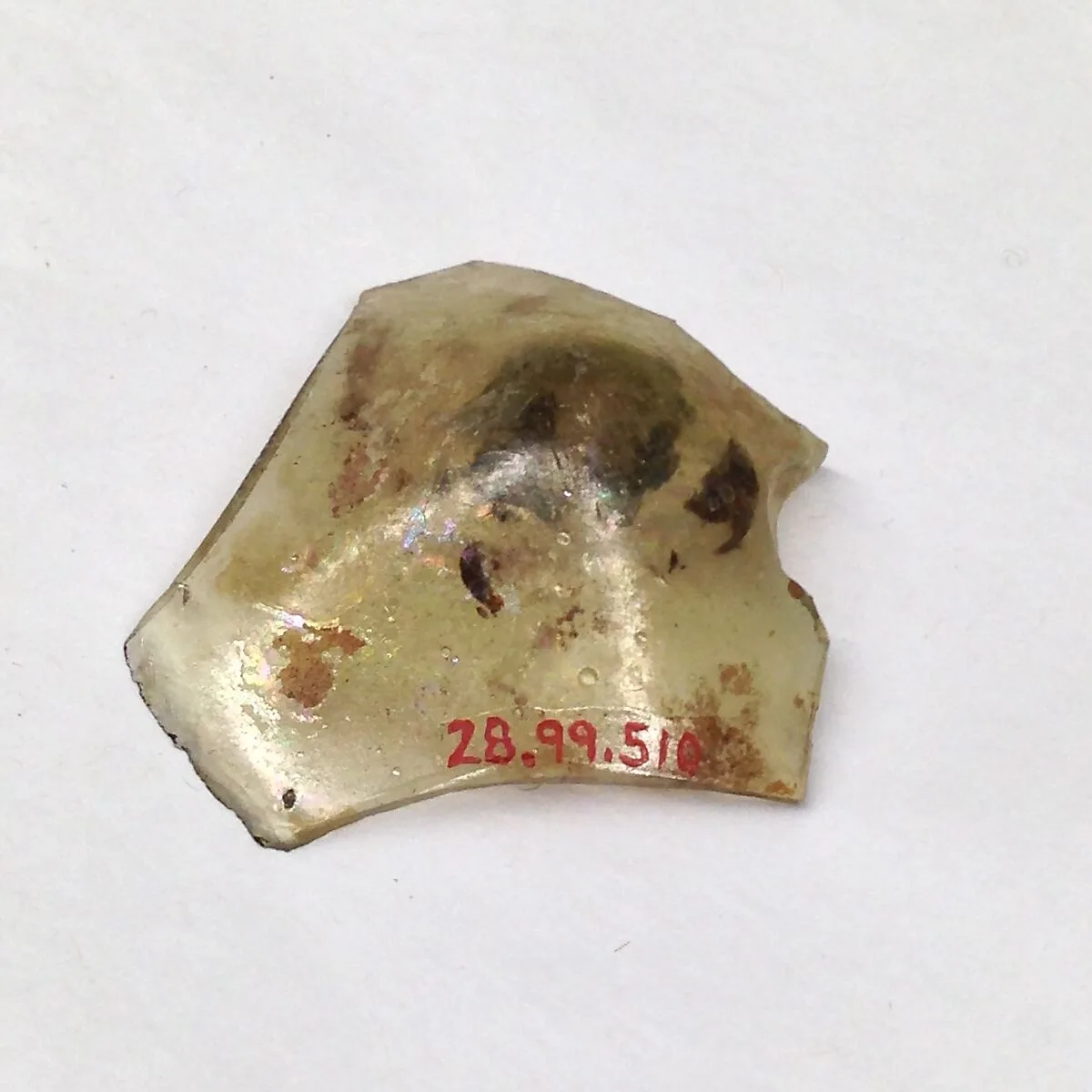 Fragment — Unknown