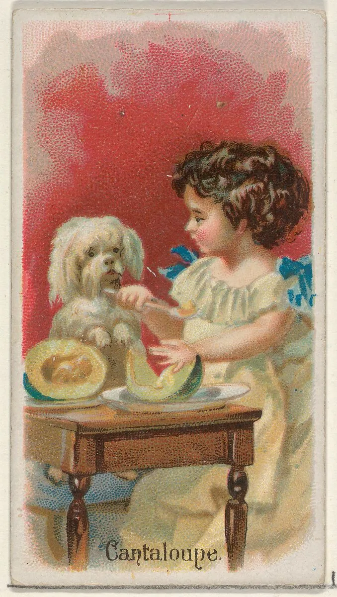 Cantaloupe, from the Fruits series (N12) for Allen & Ginter Cigarettes Brands — Allen & Ginter|George S. Harris & Sons