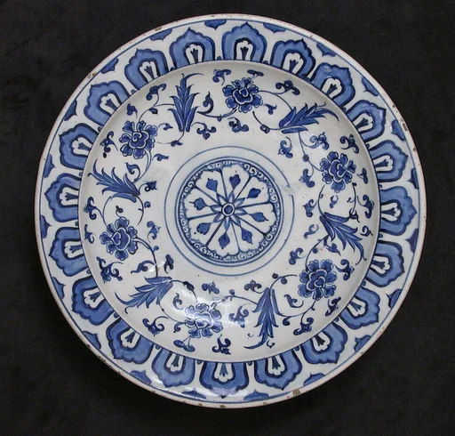 Dish