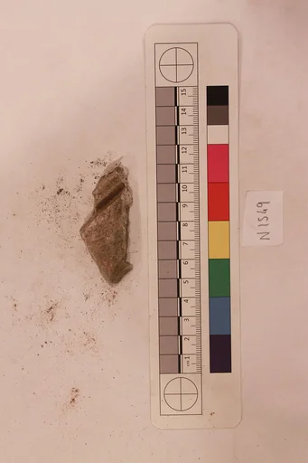 Stucco Fragment