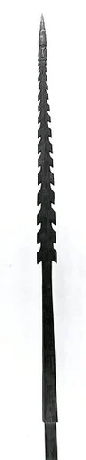 Spear