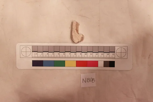 Stucco Fragment