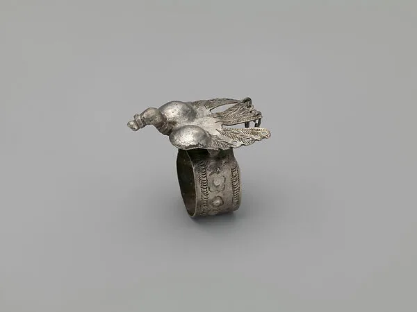 Ring: Bird — Unknown